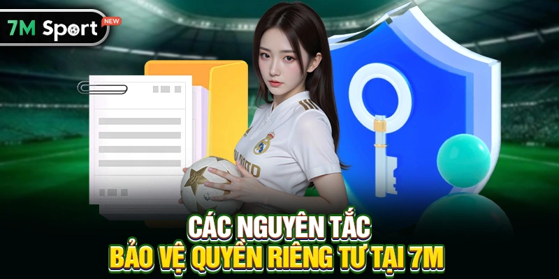 Các Nguyên Tắc Bảo Vệ Quyền Riêng Tư Tại 7M