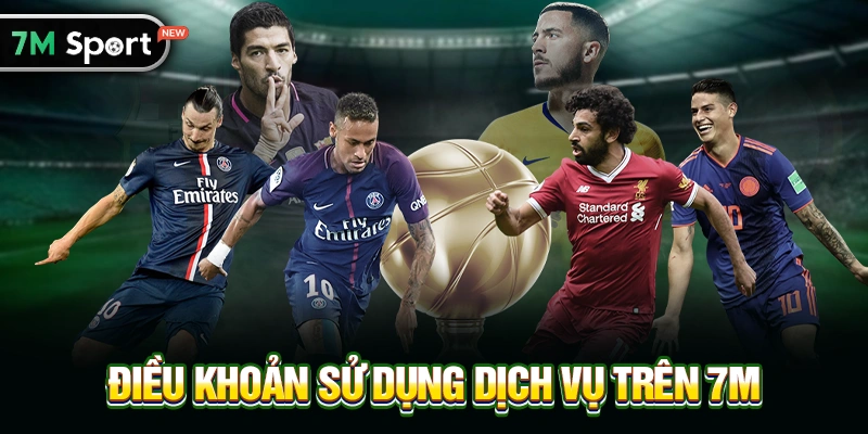 Điều Khoản Sử Dụng Dịch Vụ Trên 7M