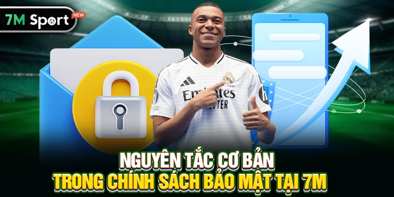 Nguyên tắc cơ bản trong Chính sách bảo mật tại 7M