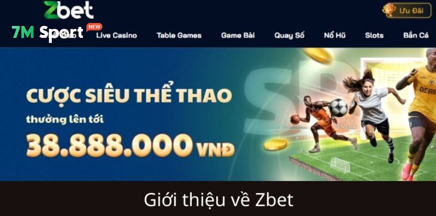 Sức hấp dẫn mạnh mẽ của thương hiệu này trên thị trường